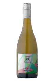 In the Groove Gruner Veltliner 2021